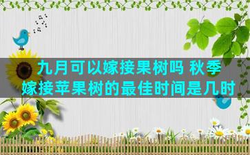 九月可以嫁接果树吗 秋季嫁接苹果树的最佳时间是几时